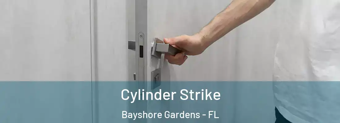  Cylinder Strike Bayshore Gardens - FL