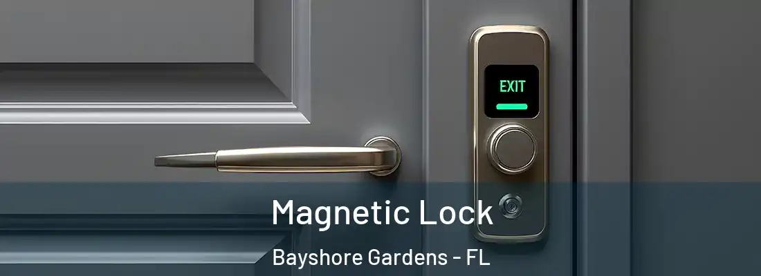 Magnetic Lock Bayshore Gardens - FL